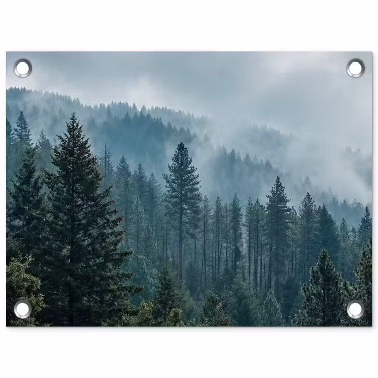 Tuinposter - Naaldwoud - Bergen - Mist — 1