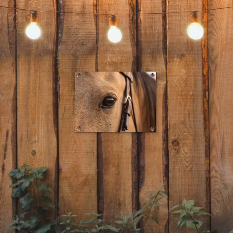 Tuinposter - Paard - Oog - Bruin — 2
