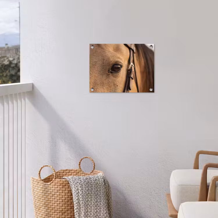 Tuinposter - Paard - Oog - Bruin — 3