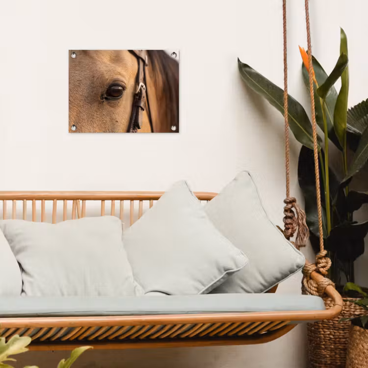 Tuinposter - Paard - Oog - Bruin — 5