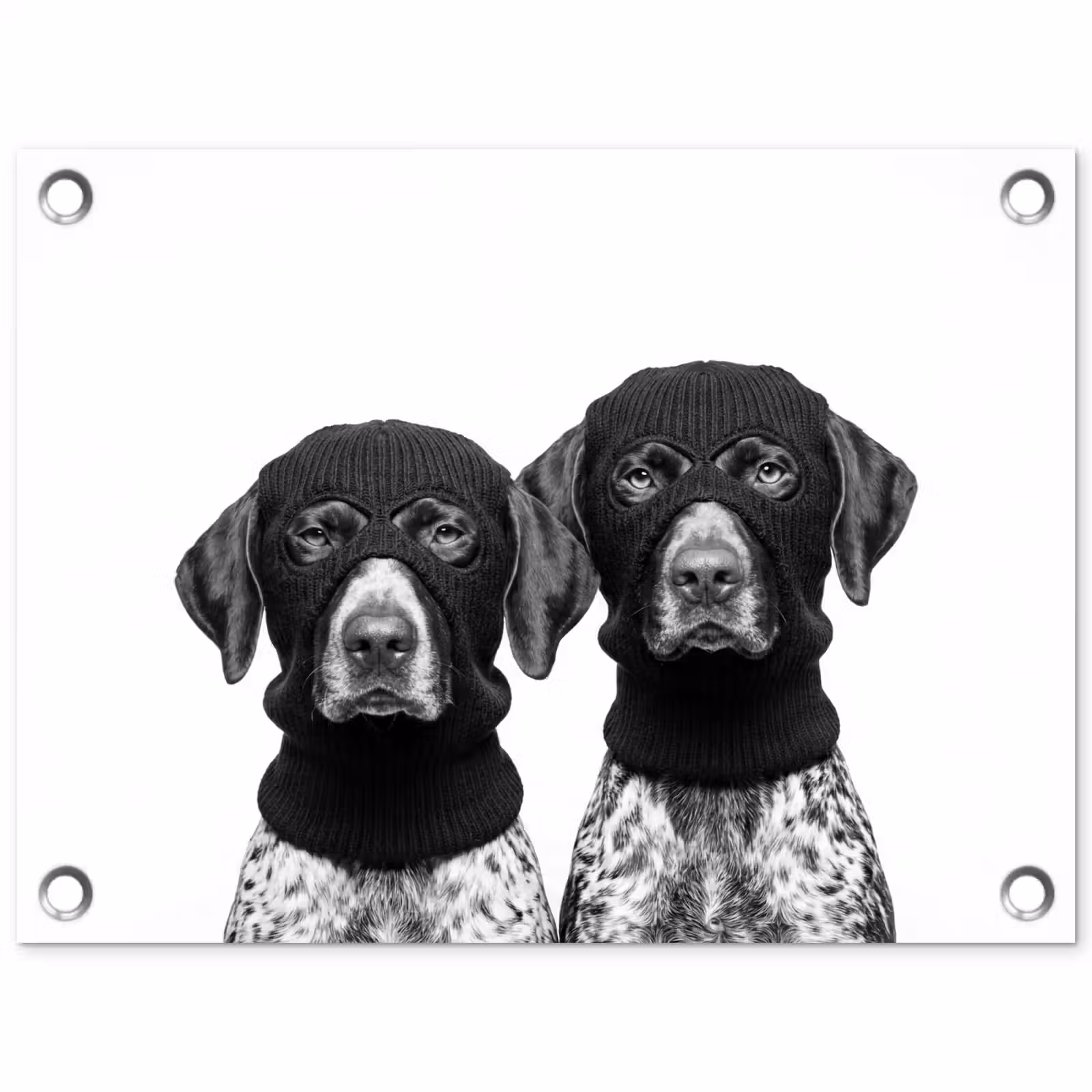 Tuinposter - Honden - Bivakmuts - Zwart - wit — 1