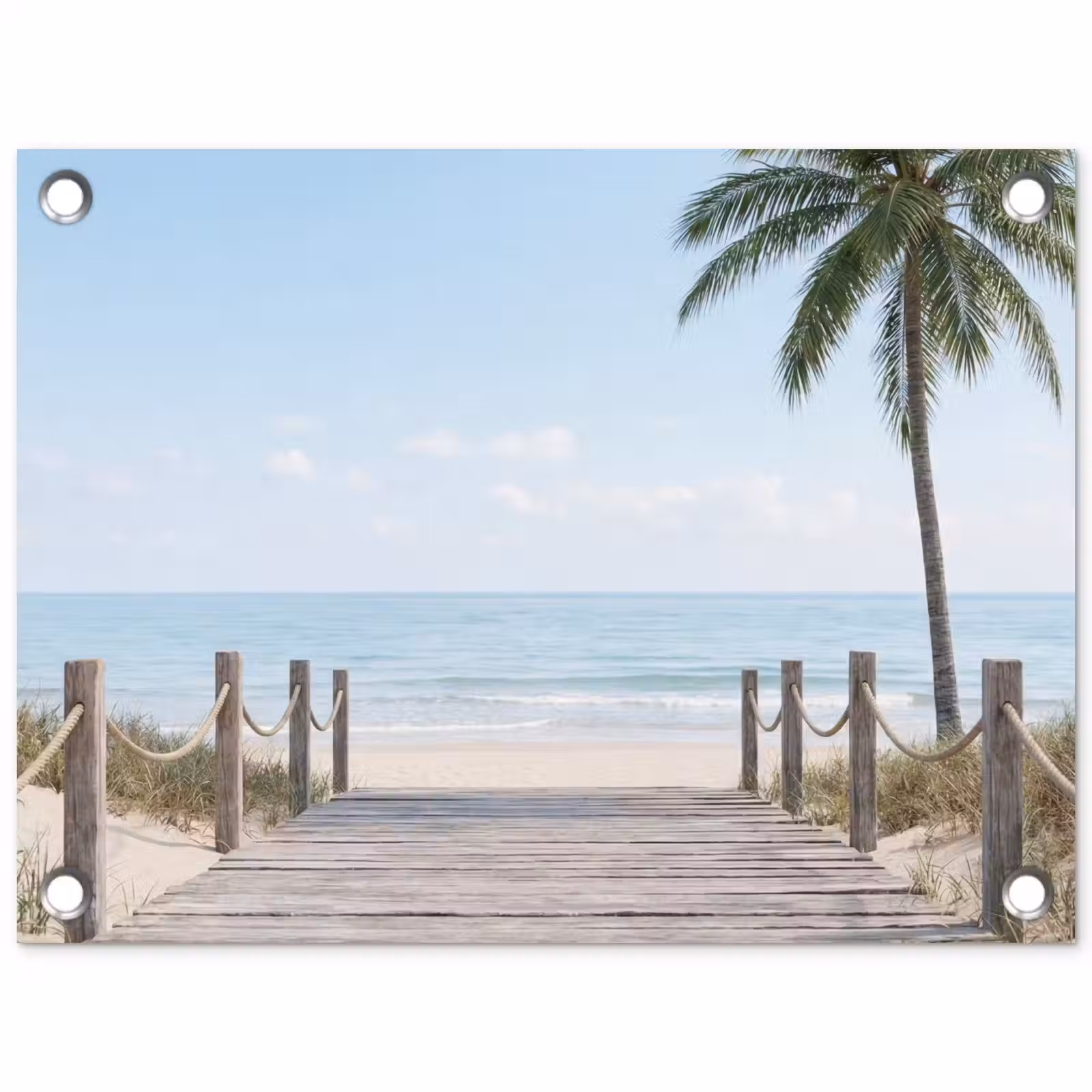 Tuinposter - Palmbomen - Pad - Horizon — 1