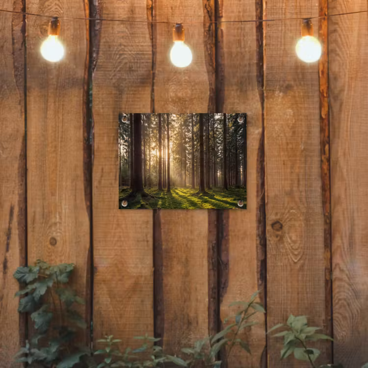 Tuinposter - Bos - Gras - Zonlicht — 2