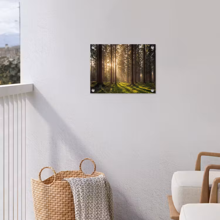Tuinposter - Bos - Gras - Zonlicht — 3