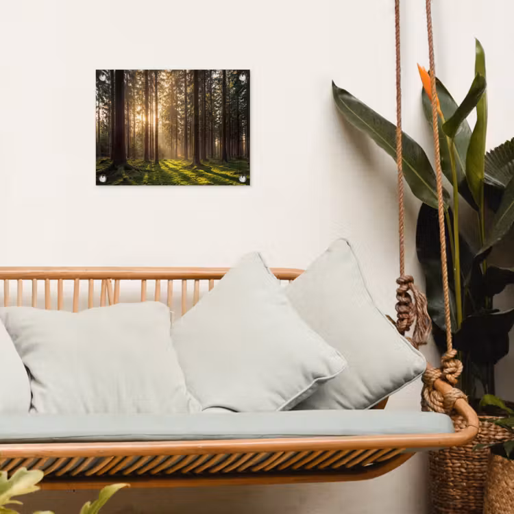Tuinposter - Bos - Gras - Zonlicht — 5