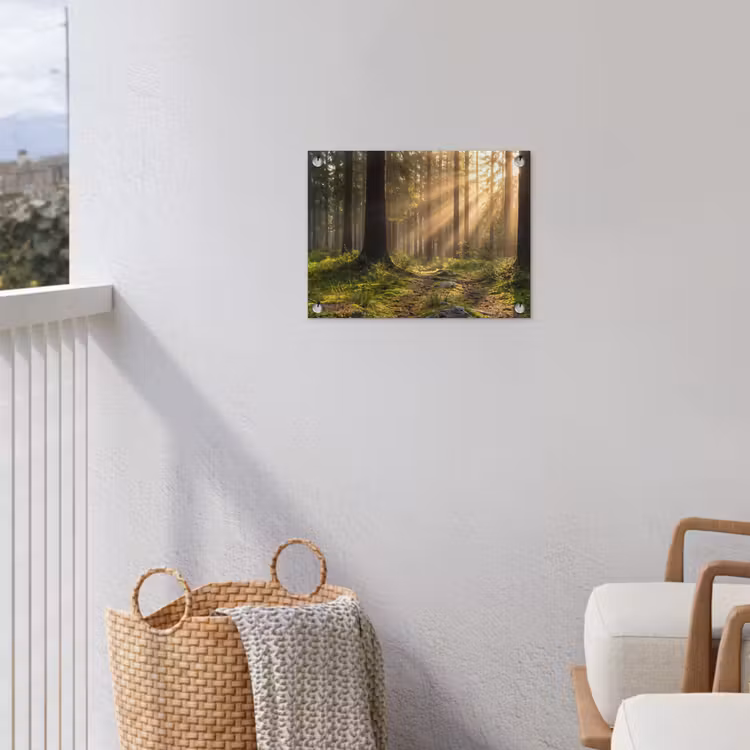 Tuinposter - Bos - Zonlicht - Gras — 3