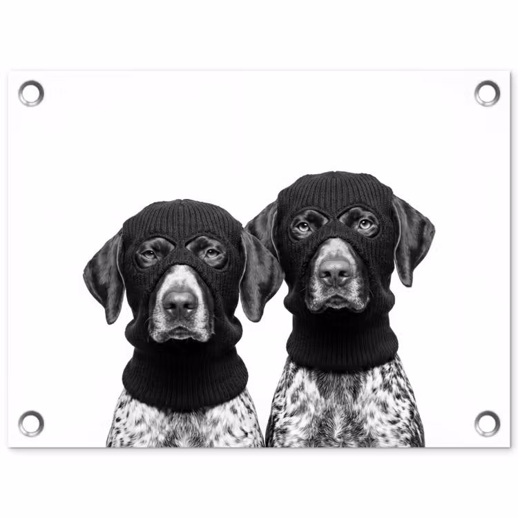 Tuinposter - Honden - Bivakmuts - Zwart - wit — 1