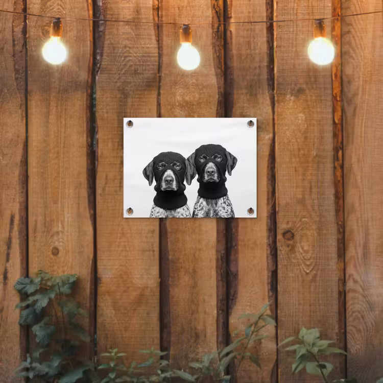 Tuinposter - Honden - Bivakmuts - Zwart - wit — 2