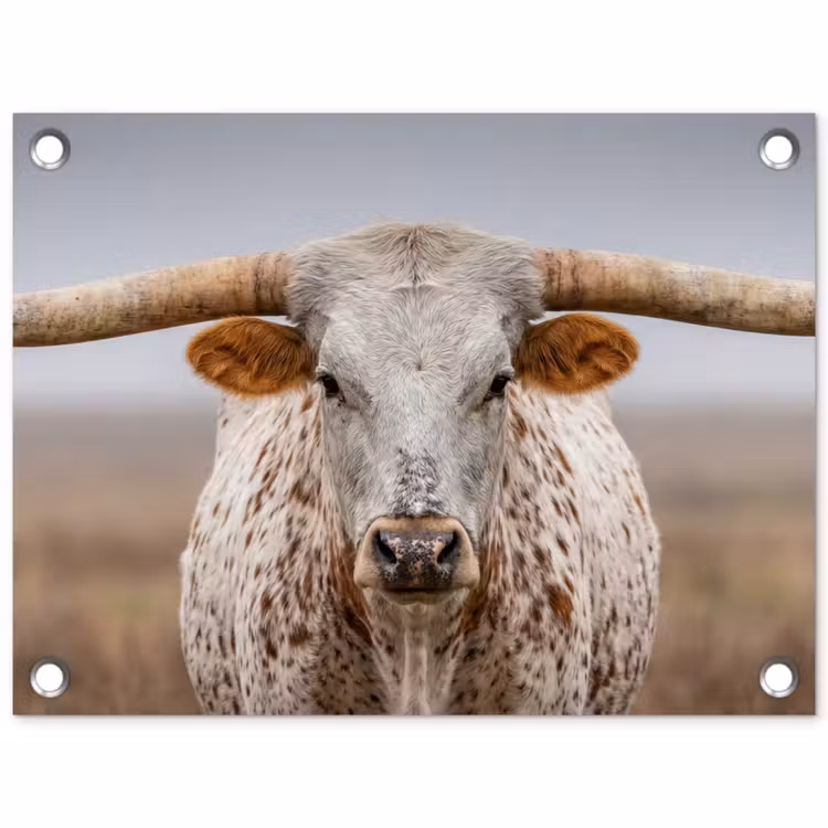 Tuinposter - Longhorn - Grasveld - Dier — 1