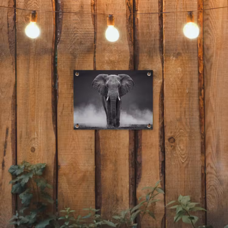 Tuinposter - Olifant - Zwart - Wit - Rook — 2