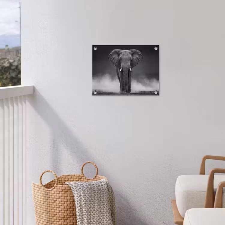 Tuinposter - Olifant - Zwart - Wit - Rook — 3