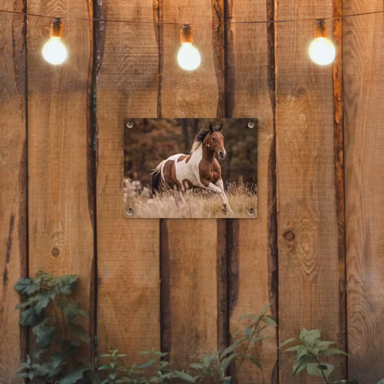 Tuinposter - Paard - Bruin - Gras — 2