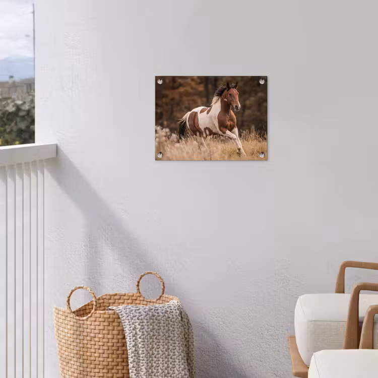 Tuinposter - Paard - Bruin - Gras — 3