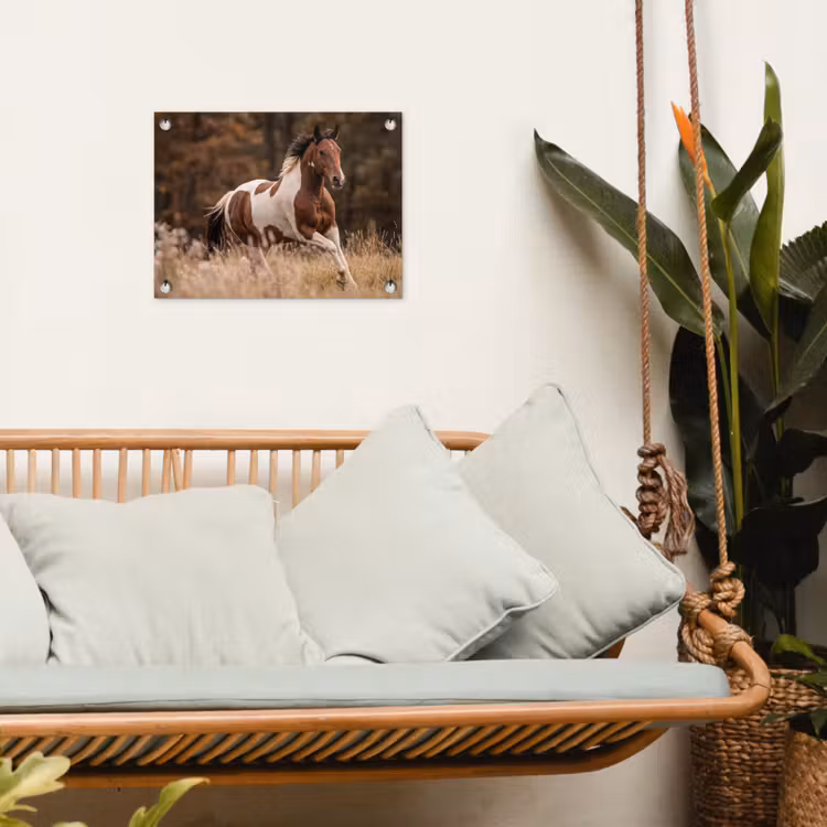 Tuinposter - Paard - Bruin - Gras — 5