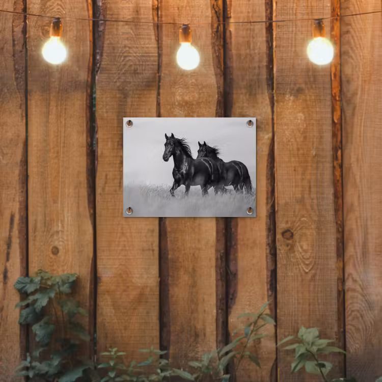 Tuinposter - Paarden - Gras - Zwart - Wit — 2