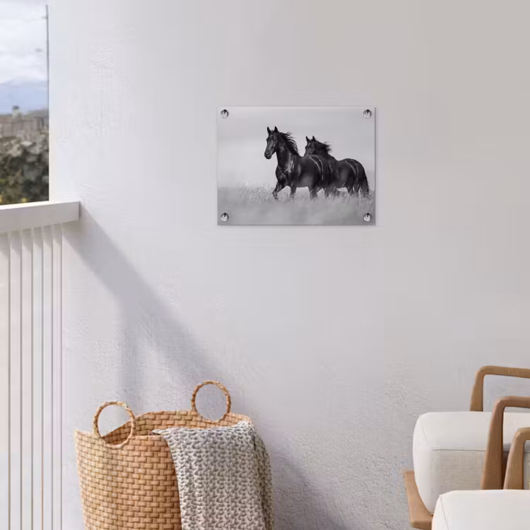 Tuinposter - Paarden - Gras - Zwart - Wit — 3