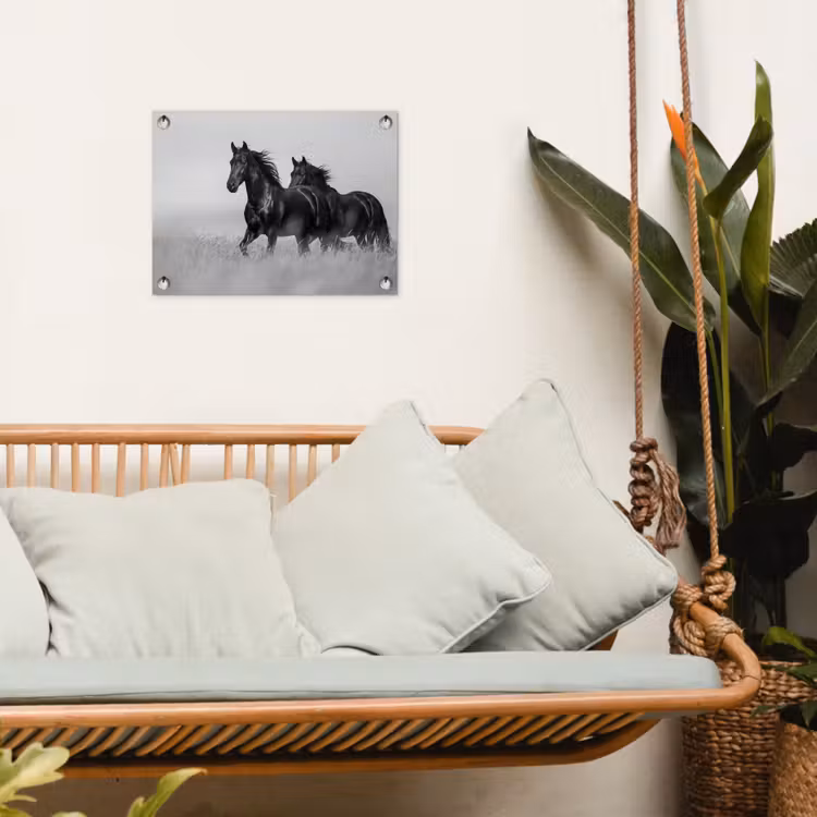 Tuinposter - Paarden - Gras - Zwart - Wit — 5