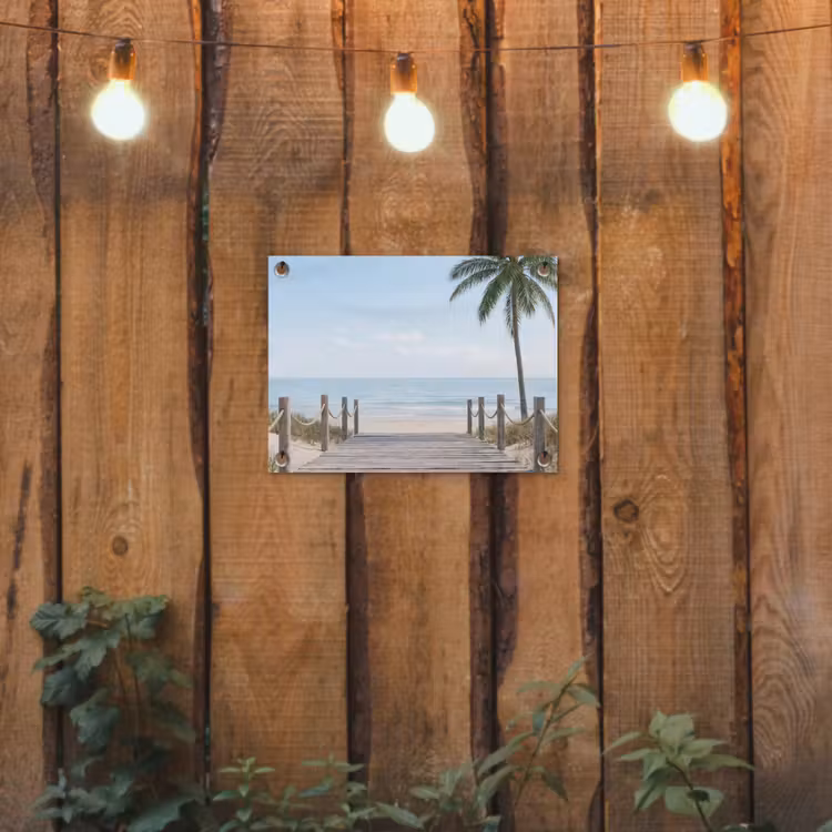 Tuinposter - Palmbomen - Pad - Horizon — 2