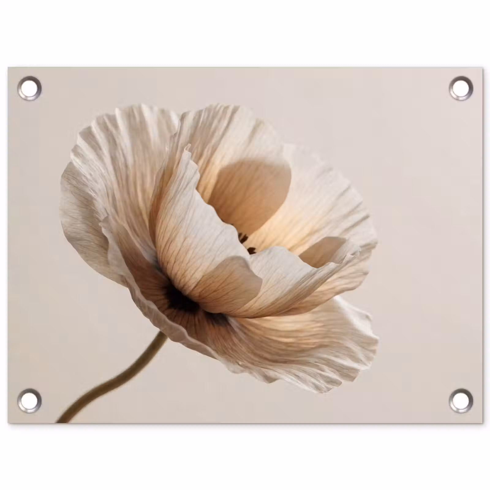 Tuinposter - Bloem - Beige - Crème — 1