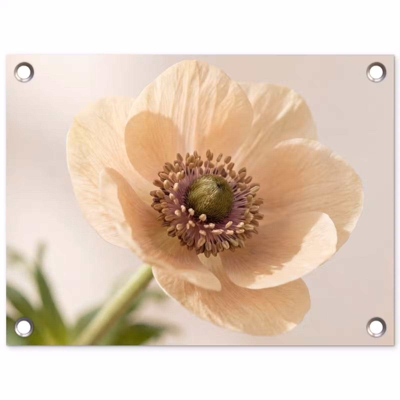 Tuinposter - Bloem - Minimalistisch - Groen — 1
