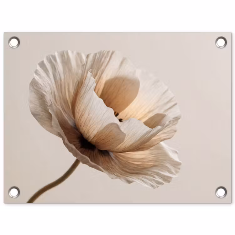 Tuinposter - Bloem - Beige - Crème — 1