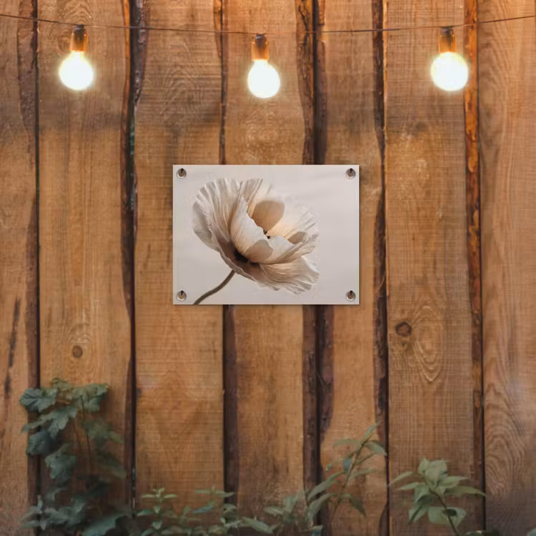 Tuinposter - Bloem - Beige - Crème — 2