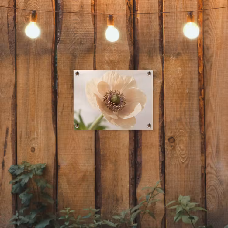 Tuinposter - Bloem - Minimalistisch - Groen — 2