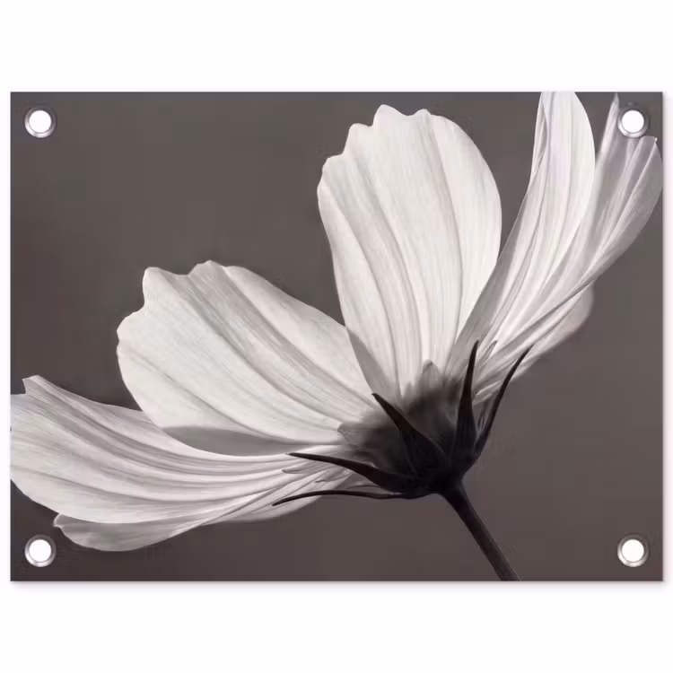 Tuinposter - Bloem - Minimalistisch - Zwart - Wit — 1