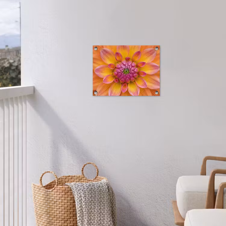 Tuinposter - Dahlia - Bloem - Oranje — 3