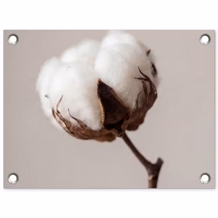 Tuinposter - Katoenbol - Minimalistisch - Wit — 1