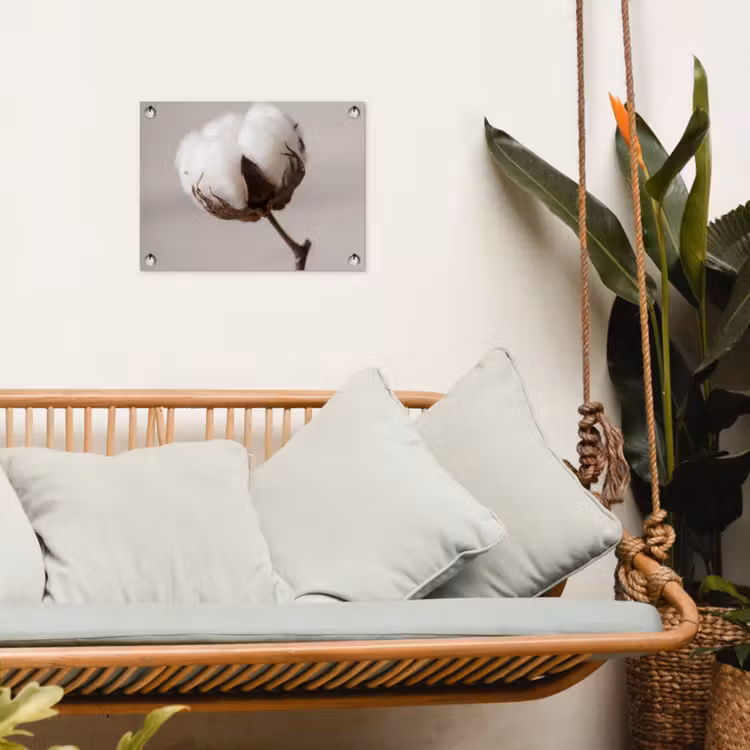 Tuinposter - Katoenbol - Minimalistisch - Wit — 5