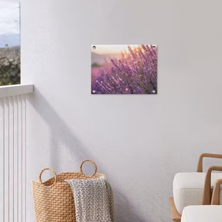 Tuinposter - Lavendel - Paars - Zonlicht — 3