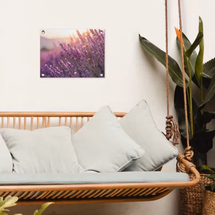 Tuinposter - Lavendel - Paars - Zonlicht — 5