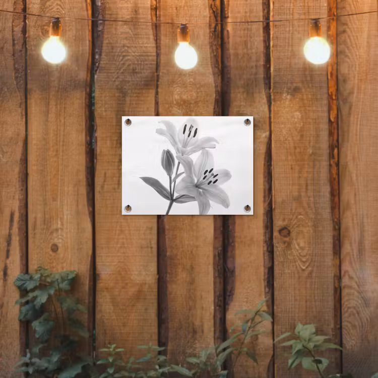 Tuinposter - Lelies - Elegant - Zwart - Wit — 2