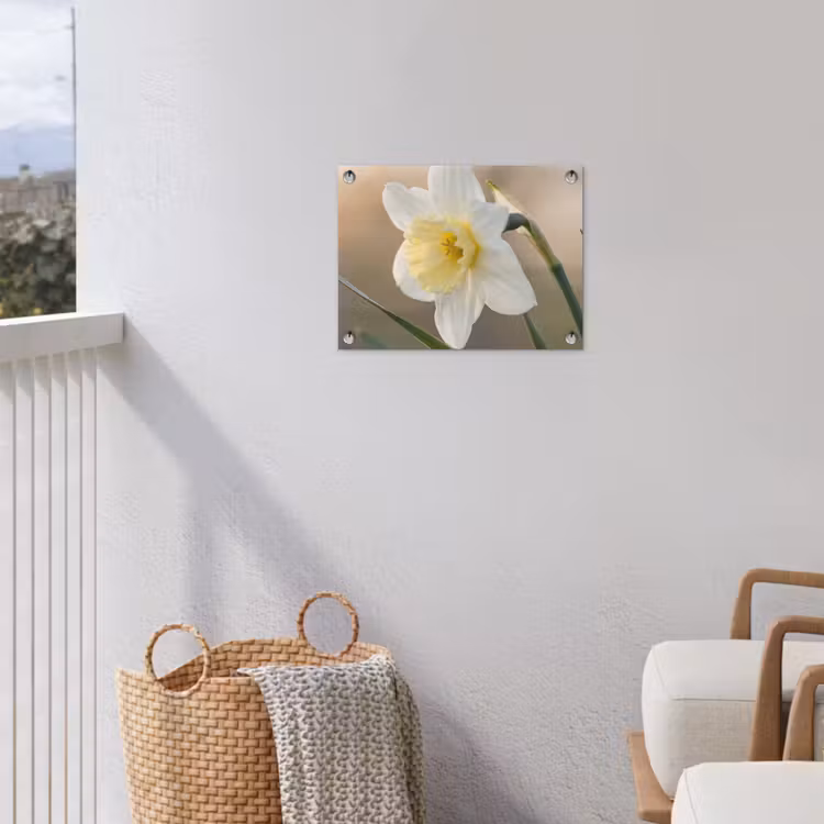 Tuinposter - Narcis - Bloem - Minimalistisch — 3