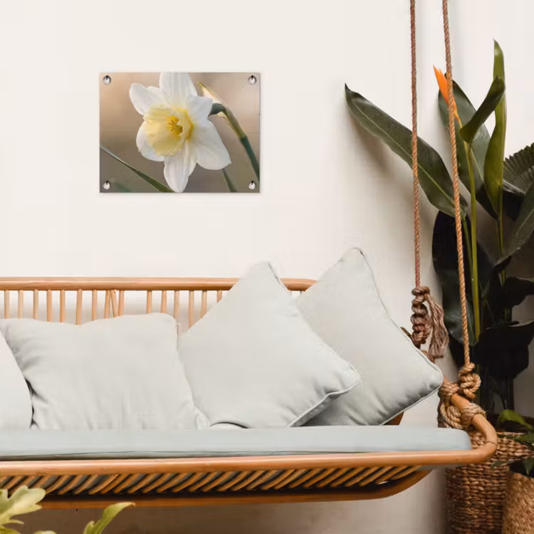 Tuinposter - Narcis - Bloem - Minimalistisch — 5