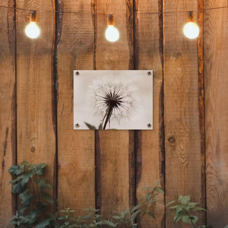 Tuinposter - Paardenbloem - Minimalistisch - Wit — 2
