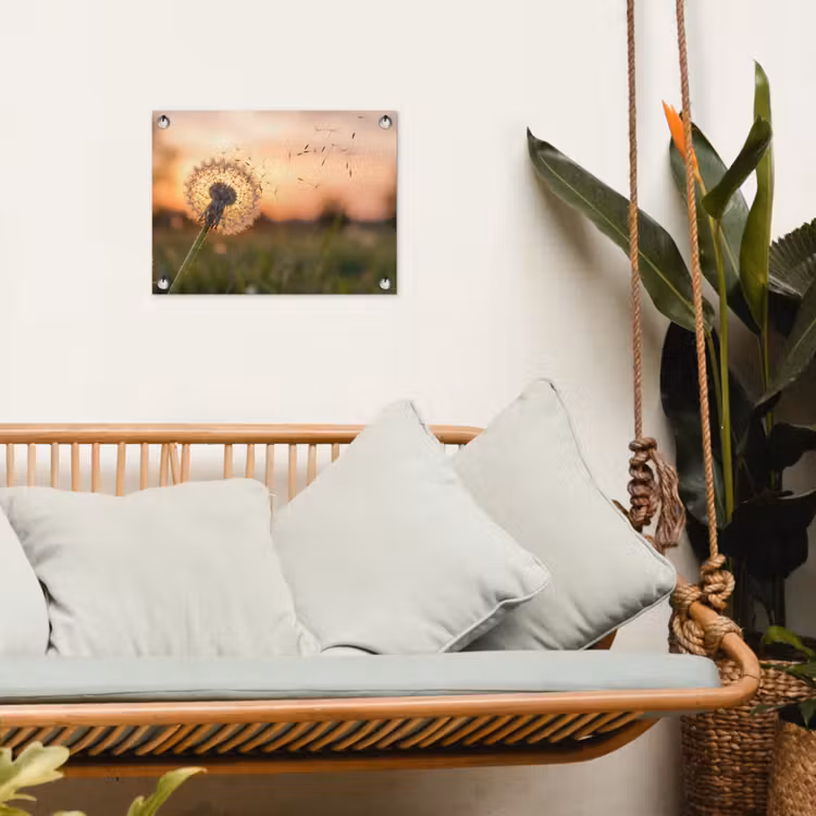 Tuinposter - Paardenbloem - Zonsondergang - Veld — 5