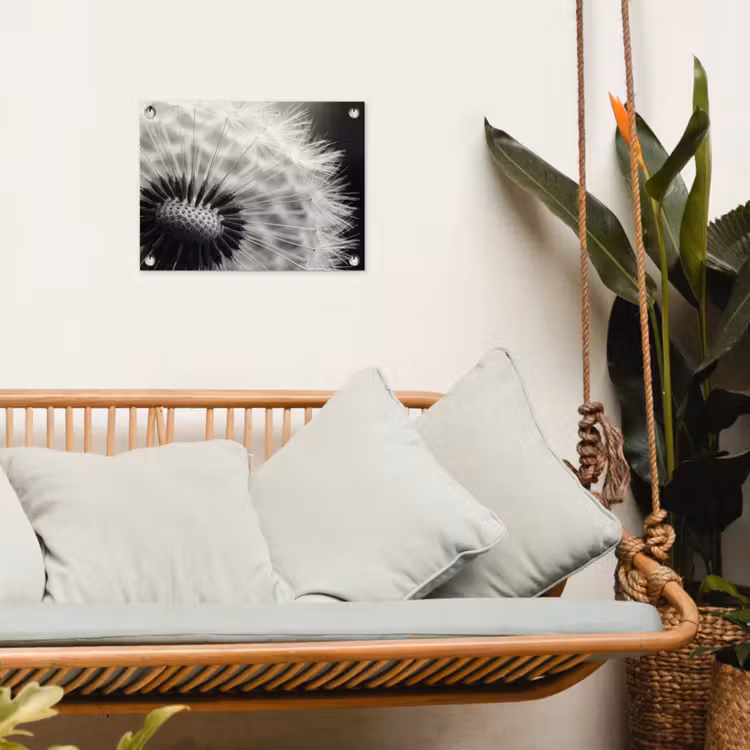 Tuinposter - Paardenbloem - Zwart - Wit — 5