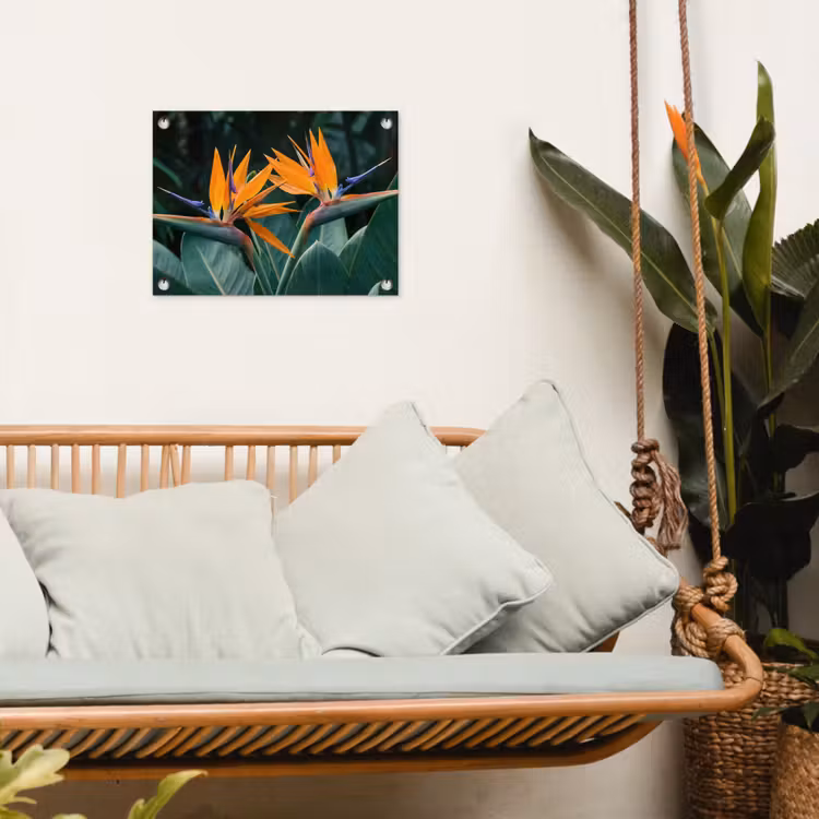Tuinposter - Paradijsvogel - Bloem - Exotisch — 5