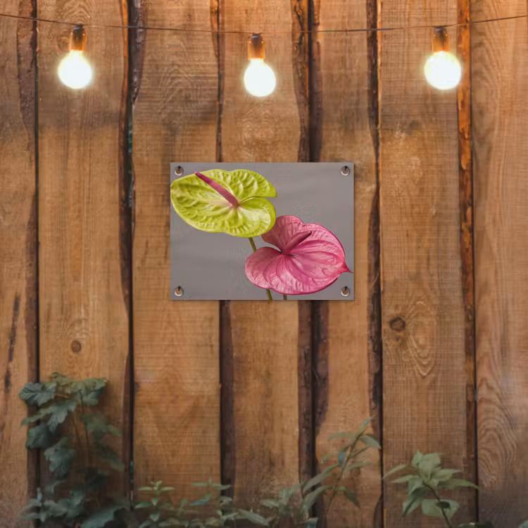 Tuinposter - Planten - Anthurium - Groen - Roze — 2