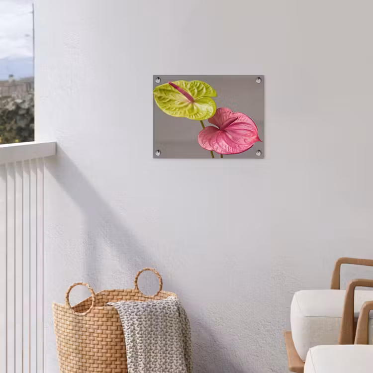 Tuinposter - Planten - Anthurium - Groen - Roze — 3