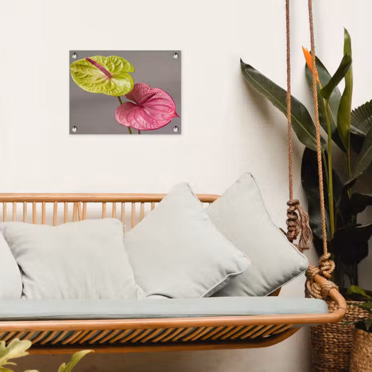 Tuinposter - Planten - Anthurium - Groen - Roze — 5