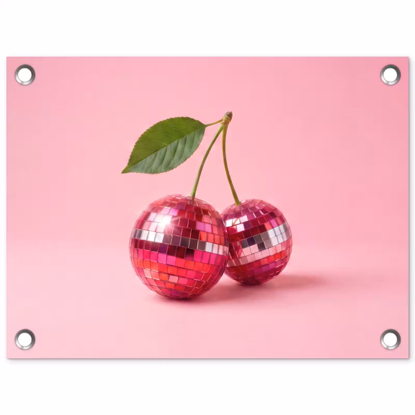 Tuinposter - Disco - Kersen - Roze — 1