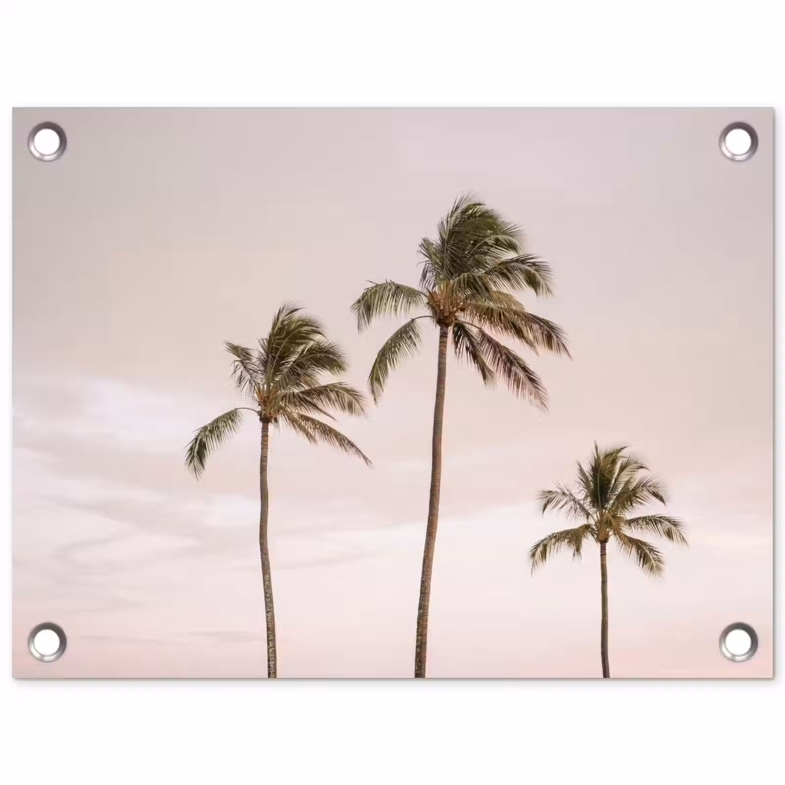 Tuinposter - Palmbomen - Zonsondergang - Roze — 1