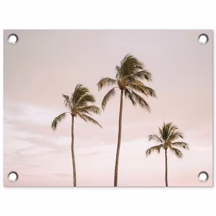 Tuinposter - Palmbomen - Zonsondergang - Roze — 1