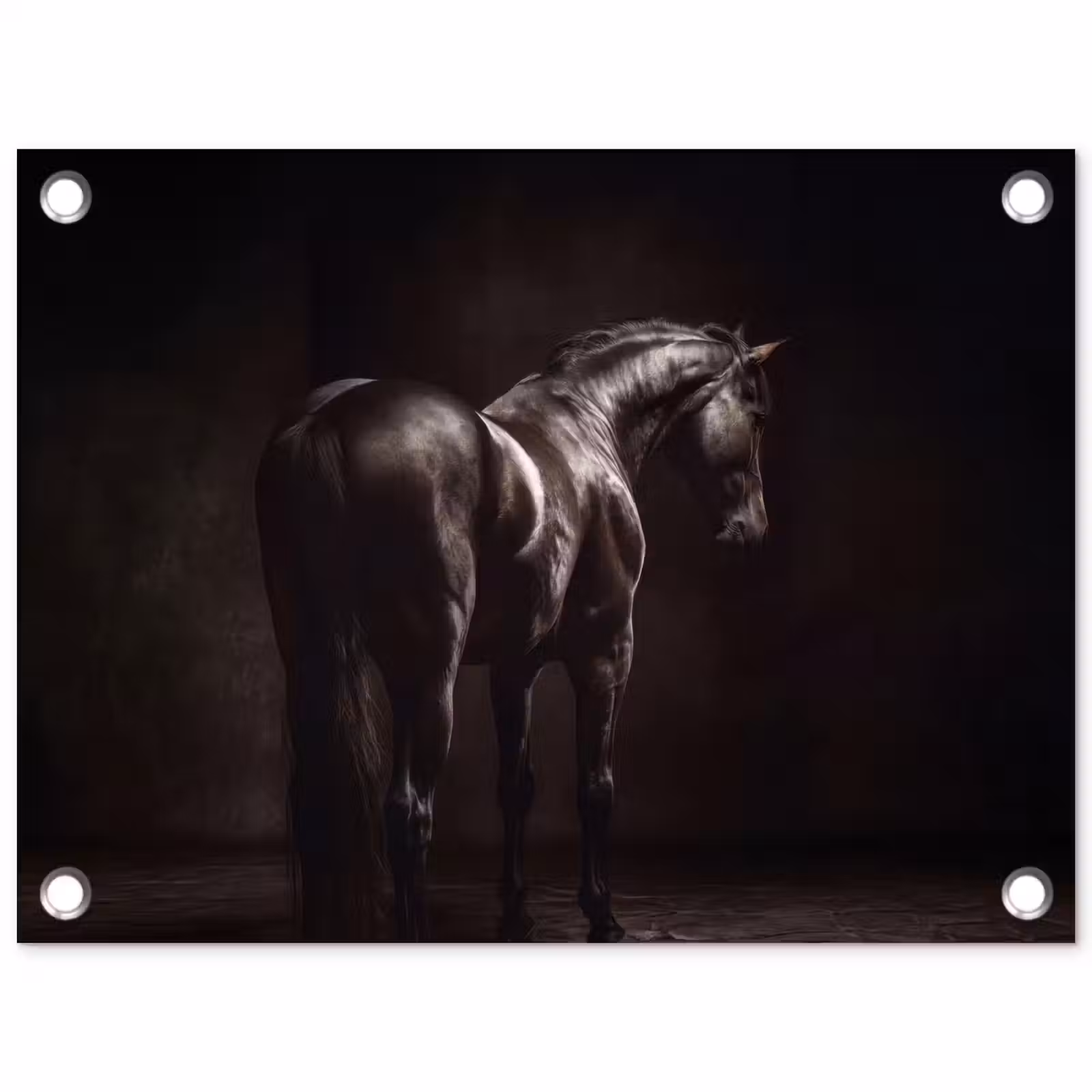 Tuinposter - Krachtig - Paard - Donker — 1