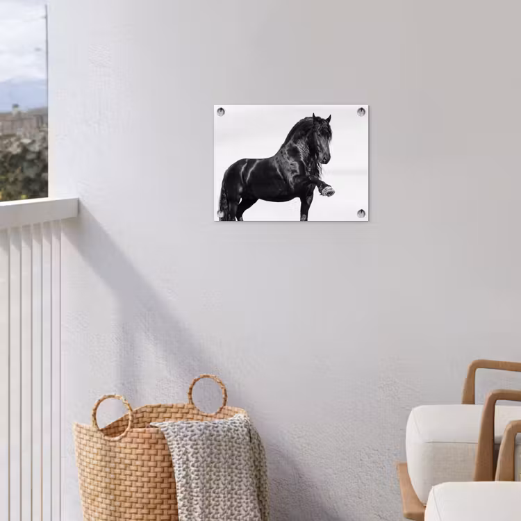 Tuinposter - Fries - Hengst - Modern — 3