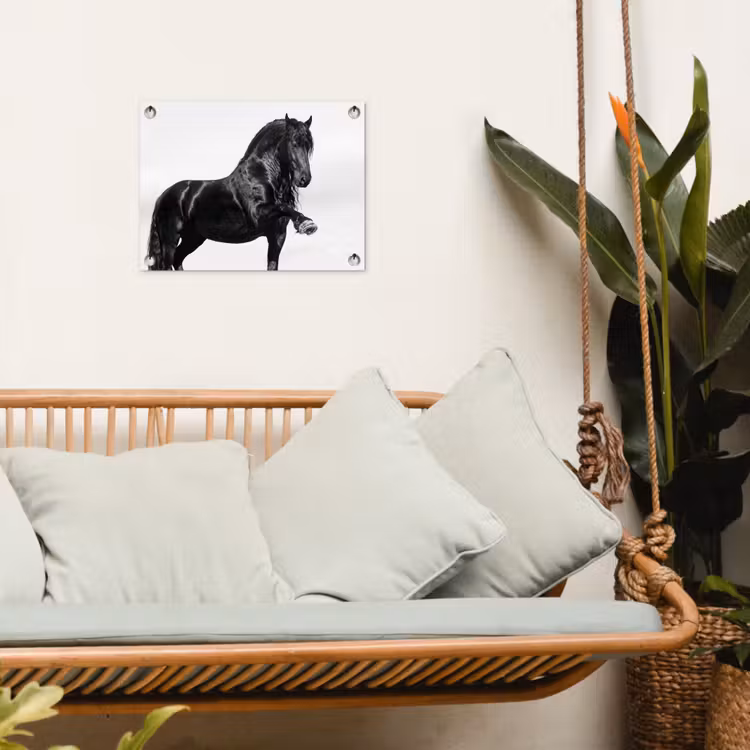 Tuinposter - Fries - Hengst - Modern — 5