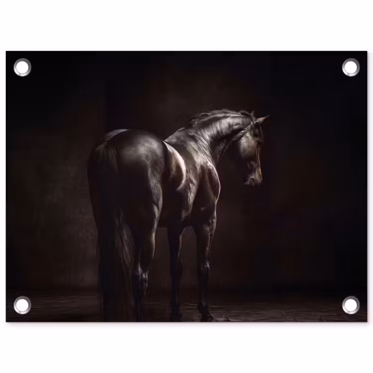 Tuinposter - Krachtig - Paard - Donker — 1
